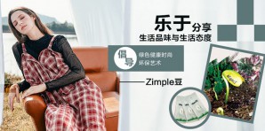 Zimple女装官网，服装属于什么档次