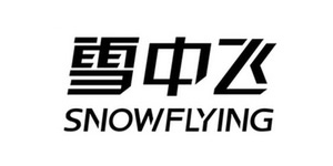 SnowFlying雪中飞羽绒服，波士登旗下时尚羽绒