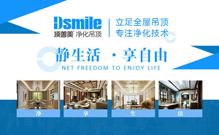 Dsmile顶善美店铺图片