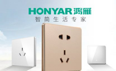 HONYAR鸿雁图片