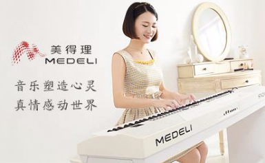 MEDELI美得理电子琴十大品牌