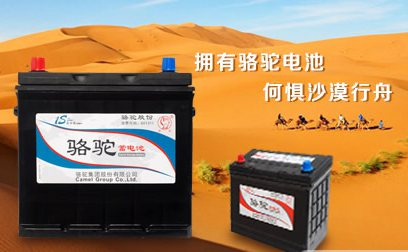 骆驼蓄电池图片