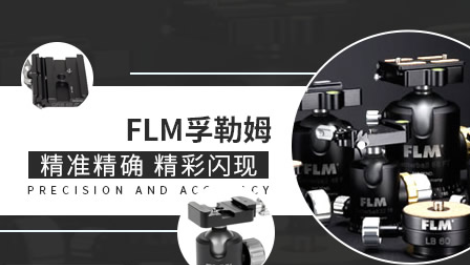 孚勒姆FLM图片