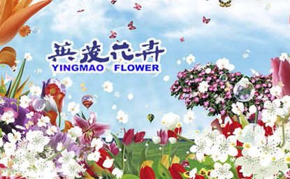 英茂花卉国内外知名的大型花卉品牌