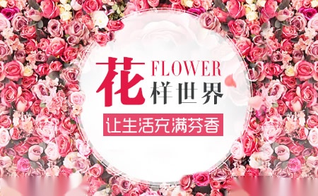 杨月季图片