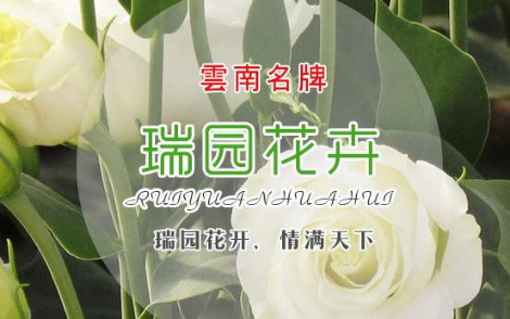 瑞园花卉专门从事洋桔梗鲜切花种植