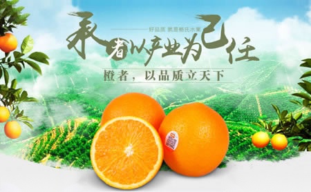 杨氏果业水果十大品牌