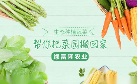 绿富隆蔬菜十大品牌