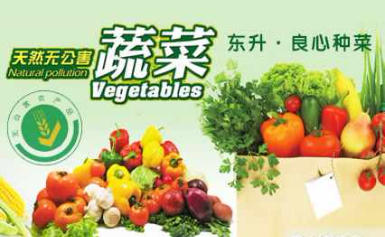 东升蔬菜水果/畜禽养殖