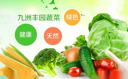 九洲丰园蔬菜图片