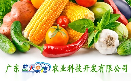 蓝天果蔬橄榄菜图片