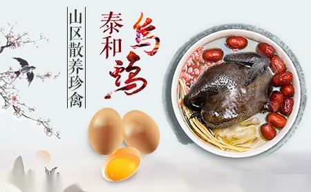 泰和乌鸡肉制品知名品牌