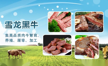 雪龙黑牛中国知名肉制品品牌