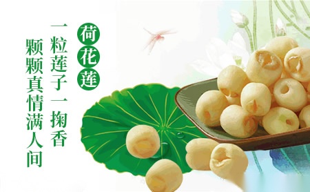 荷花莲莲子店铺图片