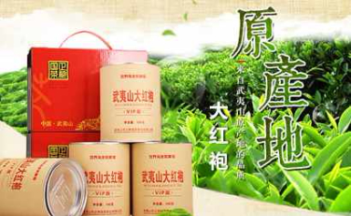 武夷山大红袍中国十大名茶
