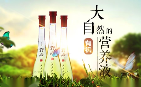 野岭茶油专业品牌